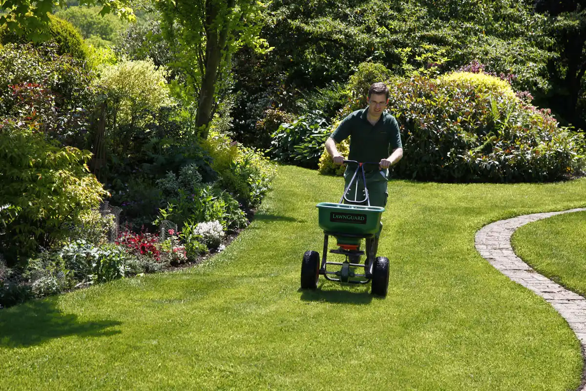 lawn_treatment_services