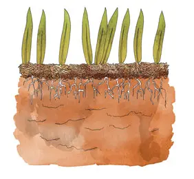 aeration