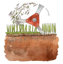 scarify_2_final