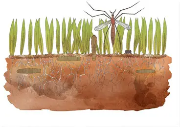 leather_jacket_final